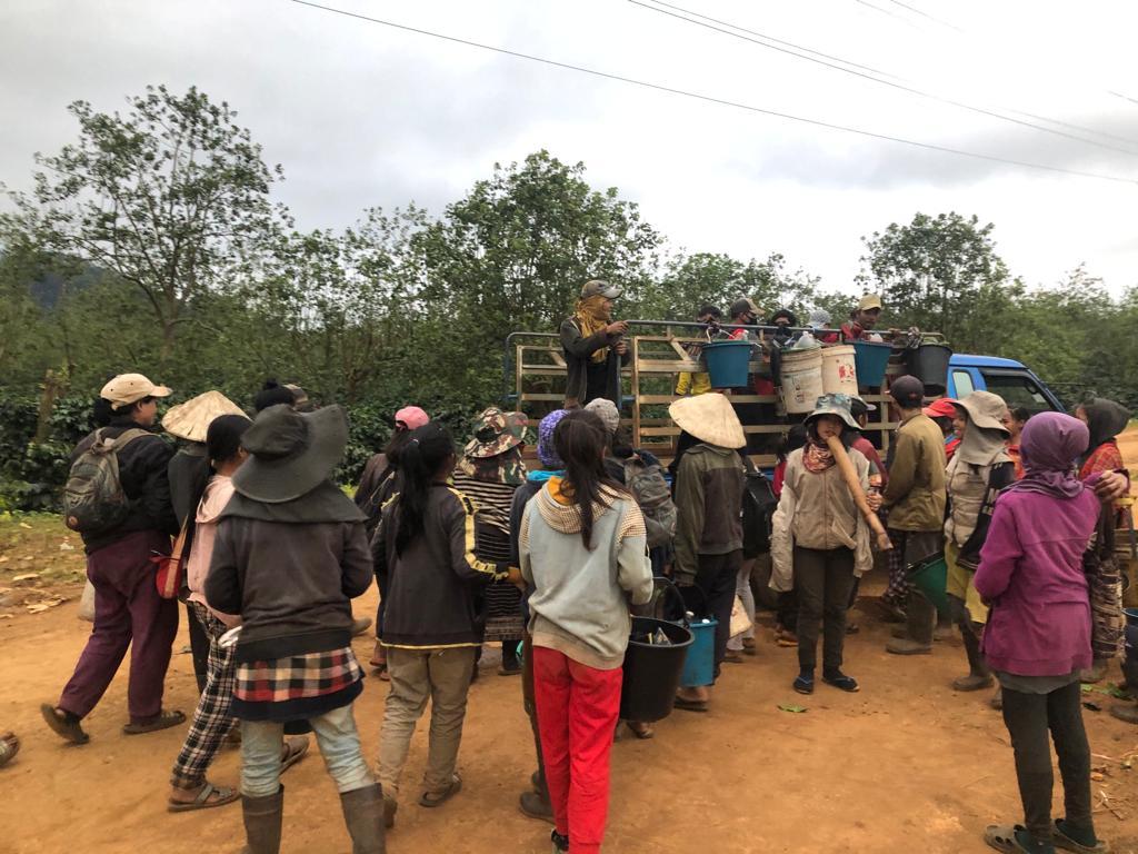 Shuttle Service to Coffee Farm